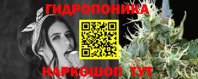 спиды Краснознаменск