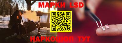 дмт Краснодар