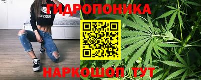 спиды Краснознаменск