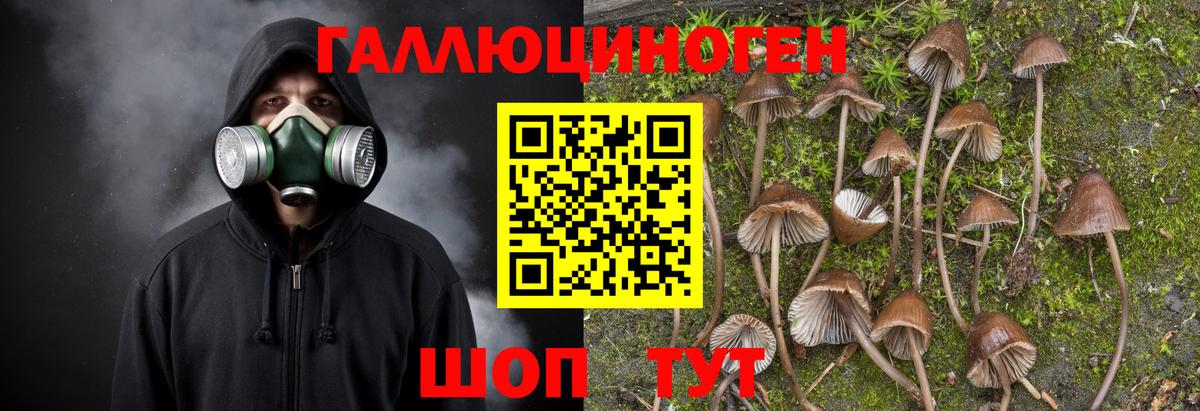 Галлюциногенные грибы Psilocybe  Вход с VPN  Кемерово  Псилоцибиновые грибы мухоморы 